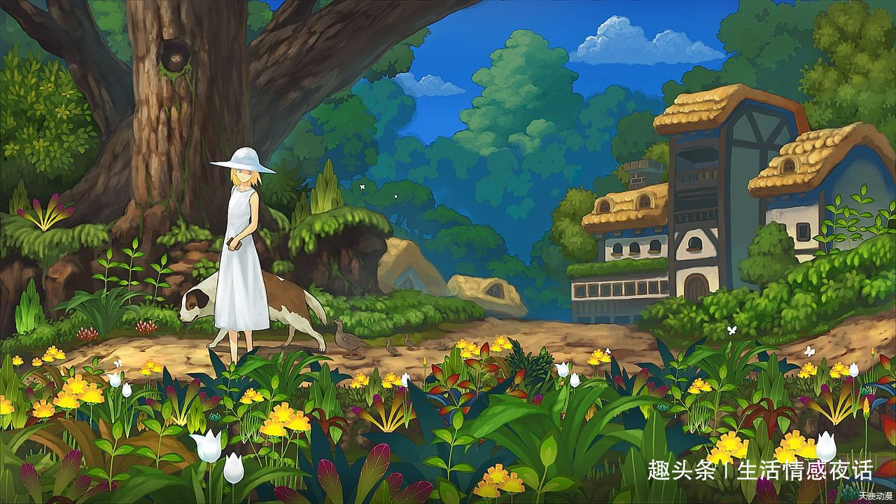 生活情感夜话：情感：性格决定命运，心态决定什么呢？