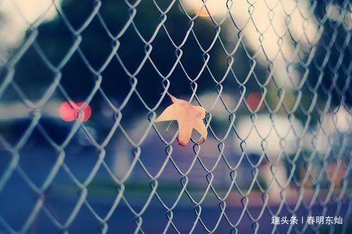 【春明东灿】表达内心情感的短句，哪句戳心了？