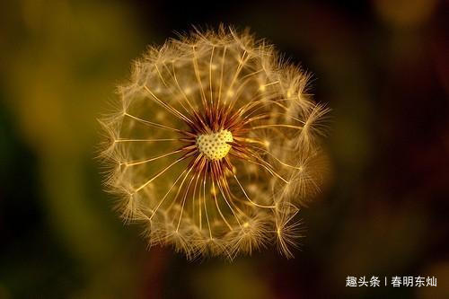 【春明东灿】表达内心情感的短句，哪句戳心了？