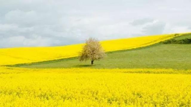 情感乐书：人生有顺境，也有逆境