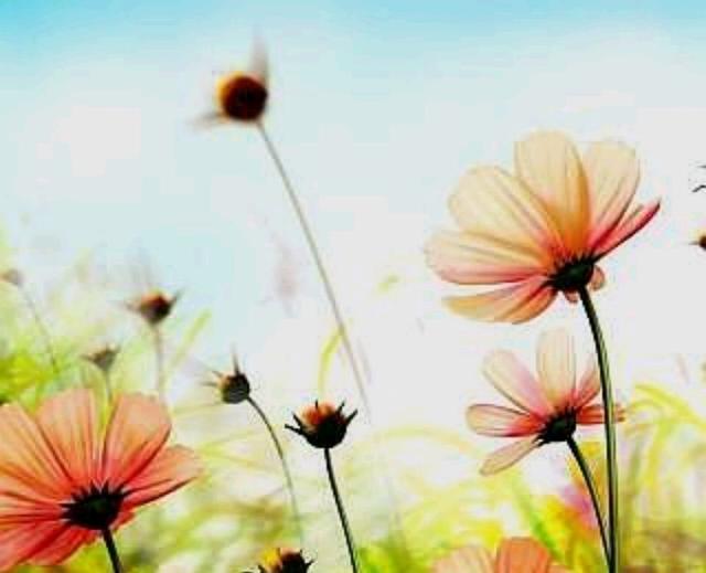 情感乐书：人生有顺境，也有逆境