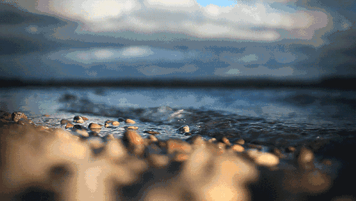 佳作有约：家庭，是我们这一生最珍贵的财富！