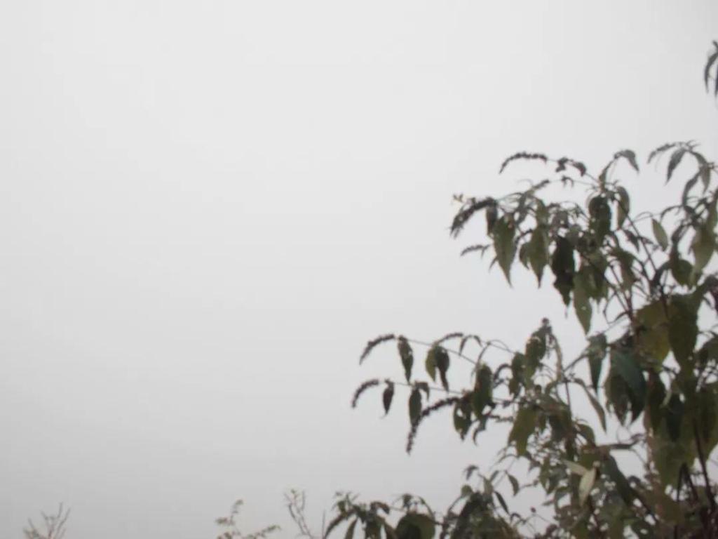 #同州#人生最好的境界，是丰富的安静