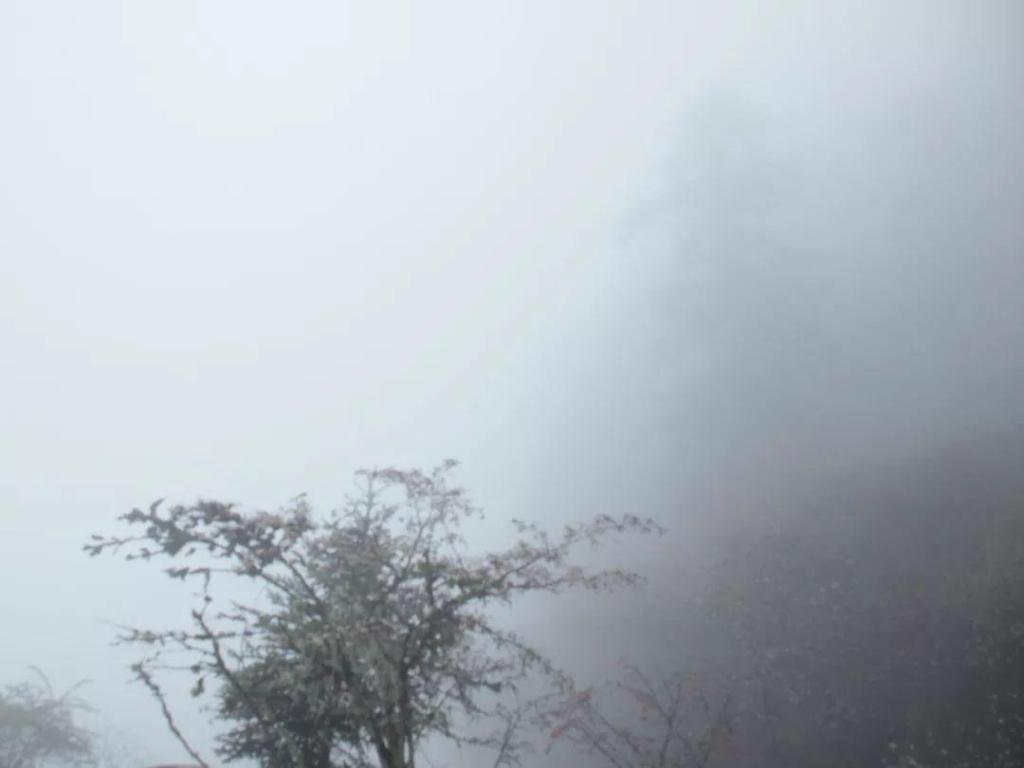 #同州#人生最好的境界，是丰富的安静