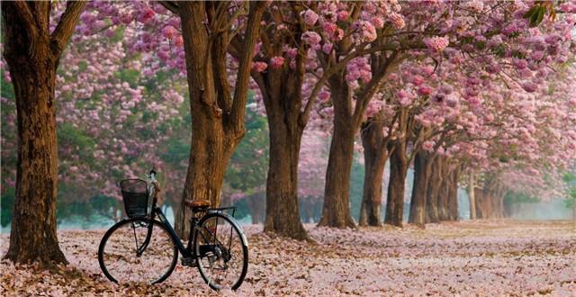 【禅读TB】不再承受身外的目光，不必在意他人的评价