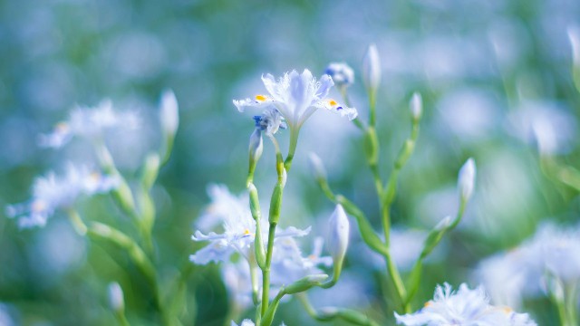 #大潘谈情说爱#最走心的情感经典句子，句句激励，让人受用一生