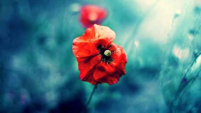 #大潘谈情说爱#最走心的情感经典句子，句句激励，让人受用一生