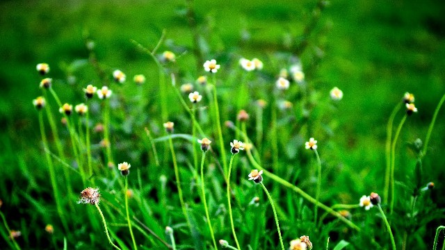 艾佳爆笑影视：几条经典情感语录，一辈子受用，送给为梦起航的你