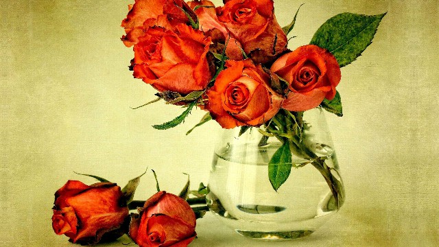 艾佳爆笑影视：几条经典情感语录，一辈子受用，送给为梦起航的你