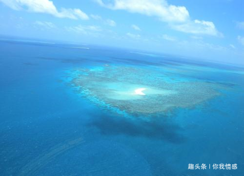 「你我情感」你我情感语录：请记住，快乐的人不是没有痛苦，而是不会被痛苦所