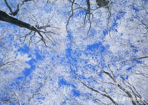 #你我情感#你我情感语录：每天给自己一个希望，试着不为明天而烦恼