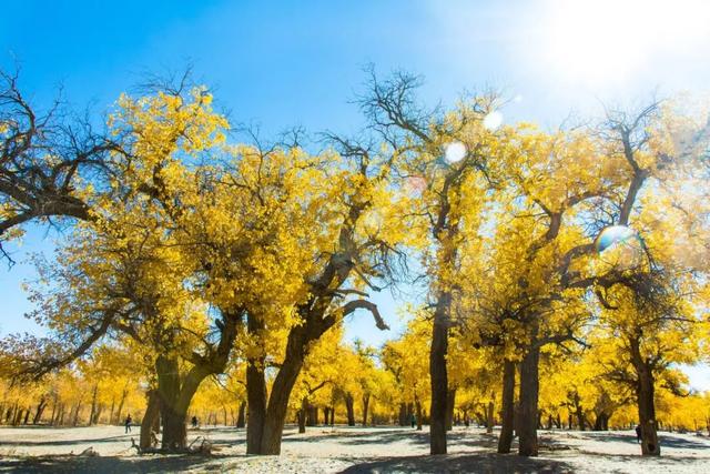 [走吧自驾游]中国这条高速公路，不输美国66号公路，比318好走，景色绝美