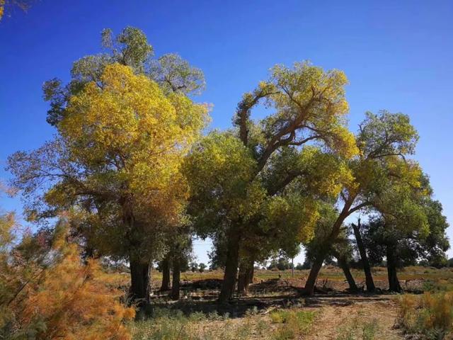 [走吧自驾游]中国这条高速公路，不输美国66号公路，比318好走，景色绝美