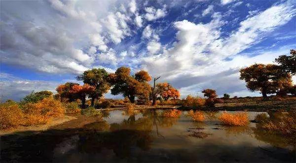 [走吧自驾游]中国这条高速公路，不输美国66号公路，比318好走，景色绝美