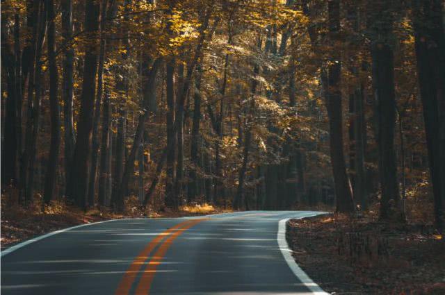 【十点情感说】未来，把心清空，往事随风