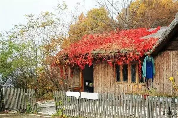 「糖果儿」这就是我向往的生活，太美啦