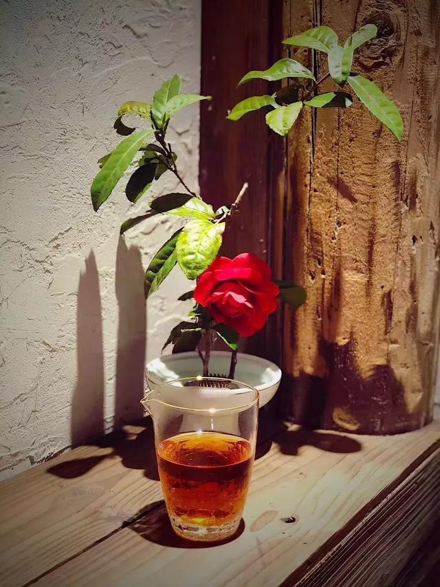 「糖果儿」这就是我向往的生活，太美啦