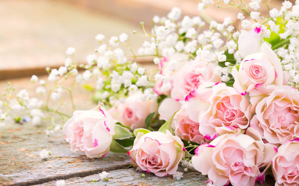 「情感福音阁」宁与人共醉、不要我独醒，勿与令你才华失色的人为伴