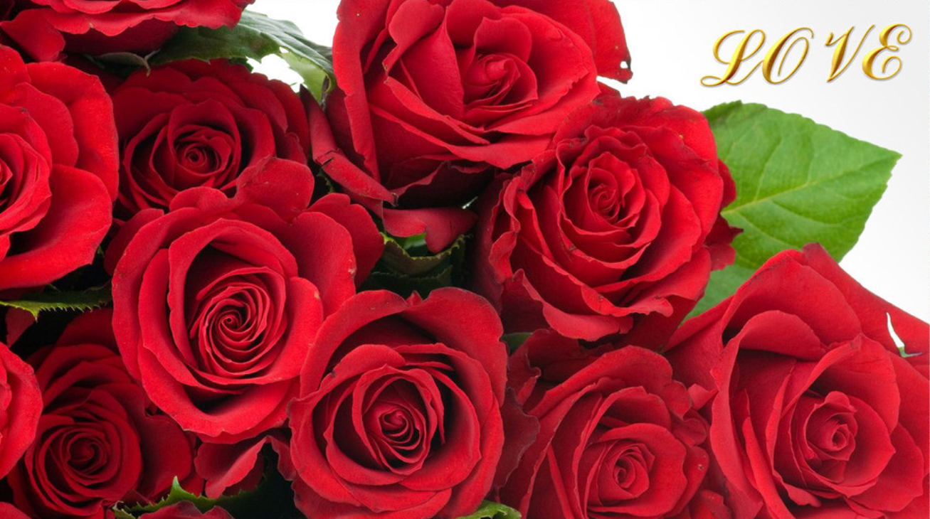 「情感福音阁」宁与人共醉、不要我独醒，勿与令你才华失色的人为伴