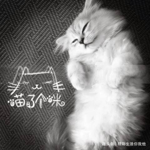 精彩生活你我他@自找的痛何必怨别人