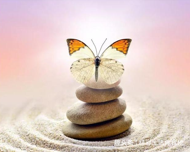 精彩生活你我他@自找的痛何必怨别人