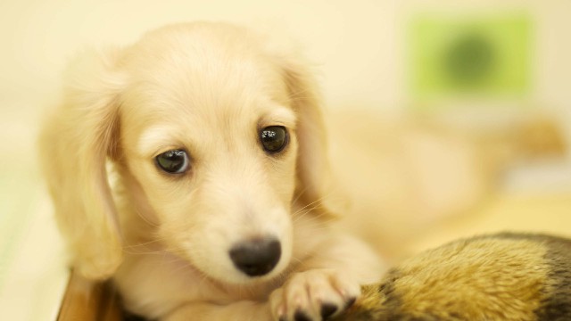 「依美娱乐」心烦想哭的说说句子，句句内涵有深度，读完真的好难过