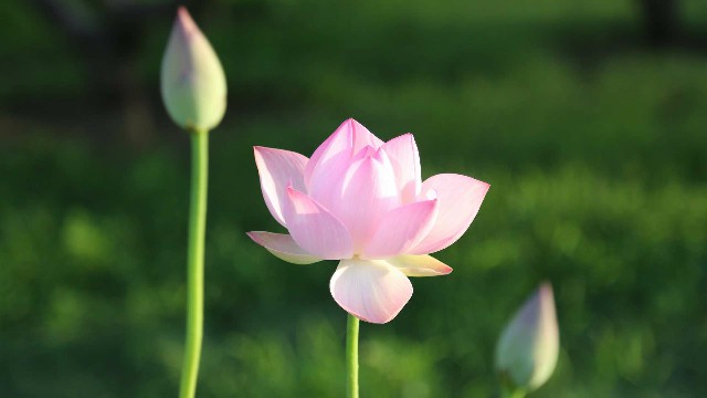 「依美娱乐」心烦想哭的说说句子，句句内涵有深度，读完真的好难过