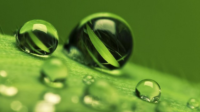 依美娱乐：人生感悟的句子，经典有深度，送给孤独失眠的你