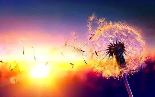 「美文鉴赏」见与不见，爱都在