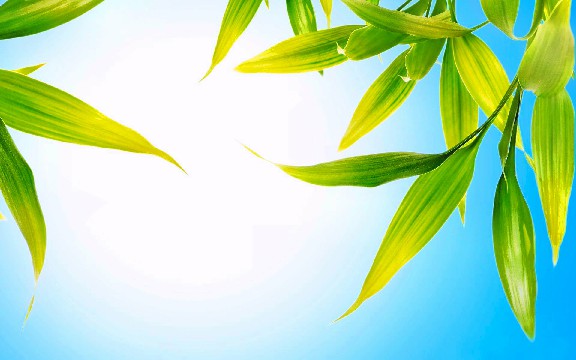 「推讲情感」最简短的经典说说，句句硬道理，哪句最符合你的心情