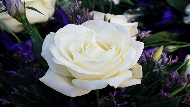 推讲情感@适合微商发的心情语录，经典短句，看完受益良多