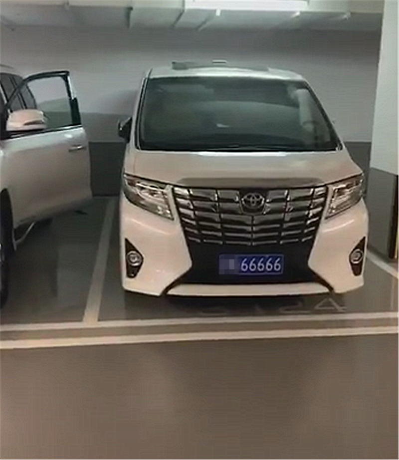 「柠檬论车」土豪的2台车，一台雷克萨斯挂“九五之尊”，另一台埃尔法挂5个6