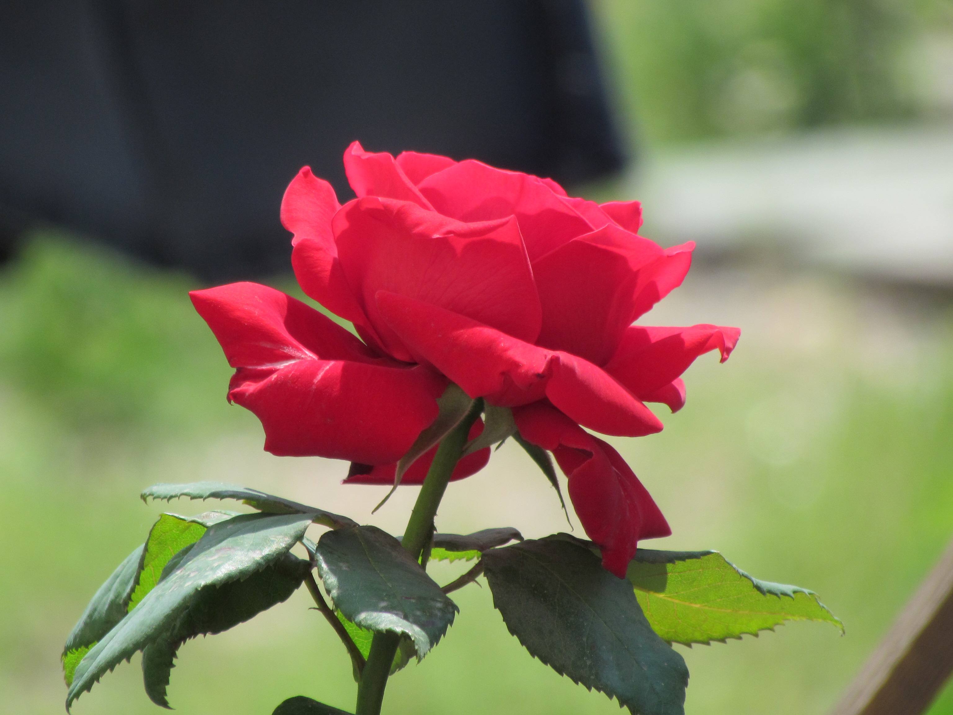 「冰山一角的趣味」不惩罚自己，也不惩罚别人