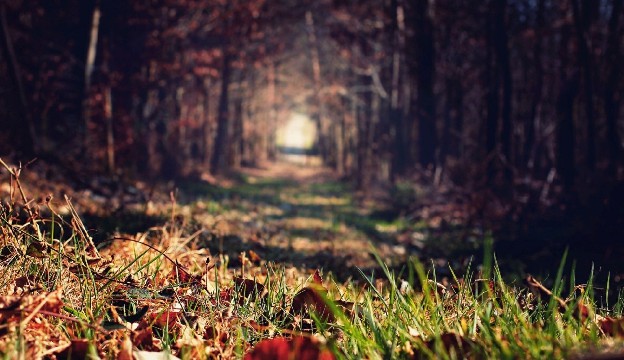 「峰扬讲情感」现实生活说说心情句子，句句让人折服，第3句说到心坎上