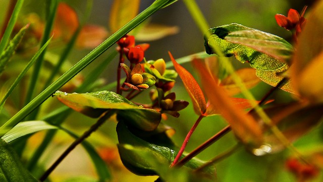 「峰扬讲情感」现实生活说说心情句子，句句让人折服，第3句说到心坎上