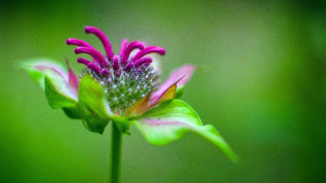 「峰扬讲情感」现实生活说说心情句子，句句让人折服，第3句说到心坎上