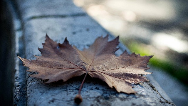 峰扬讲情感@几条伤感的句子，句句经典至极，总有一句说到你的心里