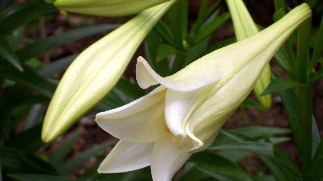 峰扬讲情感@几条伤感的句子，句句经典至极，总有一句说到你的心里