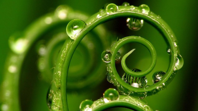 峰扬讲情感@几条伤感的句子，句句经典至极，总有一句说到你的心里