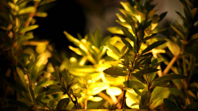 「峰扬讲情感」发自内心感慨的说说，字字穿心刺骨，送给努力拼搏的你