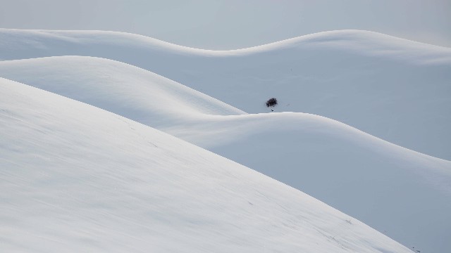 「讲娱乐的本敏」几句很个性的签名句子，一眼惊艳，看完受益良多