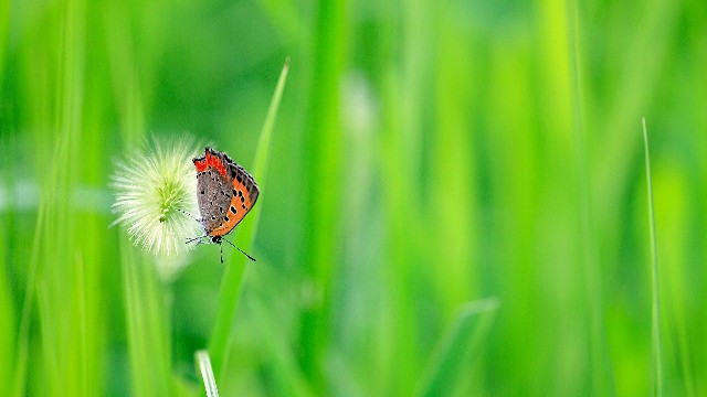 讲娱乐的本敏：对生活很丧的句子，简短经典，看完受益良多