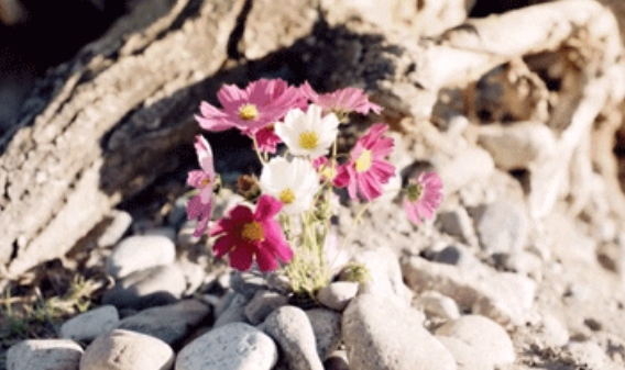 #锐温深评#人际关系最难，有些关系再努力经营，最后也是翻脸的结局！