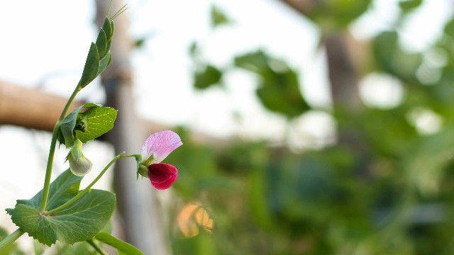 「青源讲娱乐」这些句子说给女生听，越读越窝心，第二句说到了心坎上