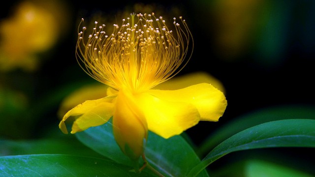 「青源讲娱乐」这些句子说给女生听，越读越窝心，第二句说到了心坎上