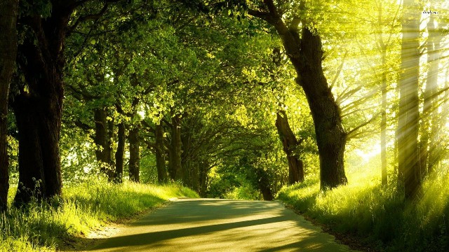 「青源讲娱乐」这些句子说给女生听，越读越窝心，第二句说到了心坎上