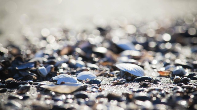 「青源讲娱乐」这些句子说给女生听，越读越窝心，第二句说到了心坎上