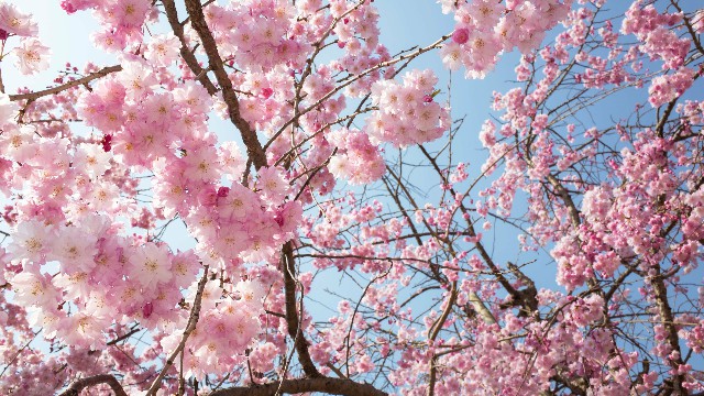 青源讲娱乐■最有意境的句子，越读越成熟，哪一句刺痛了你的心