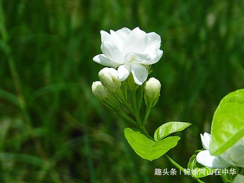 #锦绣河山在中华#不要一味追求结果