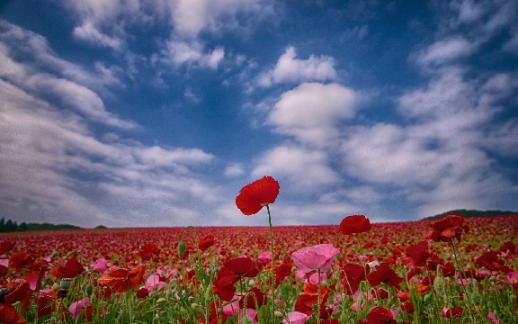 宏睿谈娱乐@发自内心感慨的说说，简短有气质，让人一看就心痛